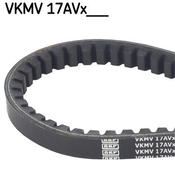 SKFVKMV 17AVX1085